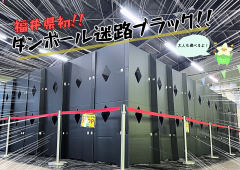 段ボール迷路チラシ.png