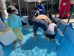 LINE_ALBUM_202695 お魚つかみ_260906_24.jpg