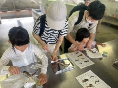 LINE_ALBUM_96魚掴み2日目_260906_1.jpg