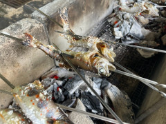 LINE_ALBUM_96魚掴み2日目_260906_64.jpg