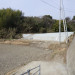 亀の甲No2-1.JPG