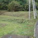 亀の甲No2-2.JPG