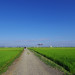 IMGP1190.JPG