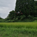 IMG_20210812_164235.jpg
