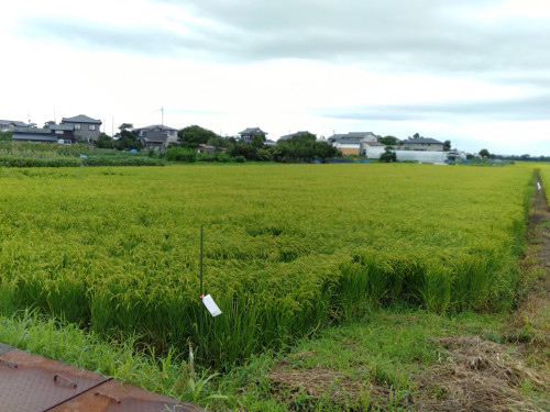 IMG20220820135606.jpg