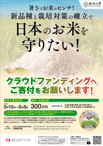 新潟大学農学部　山崎 将紀教授「日本のお米を守りたい！」