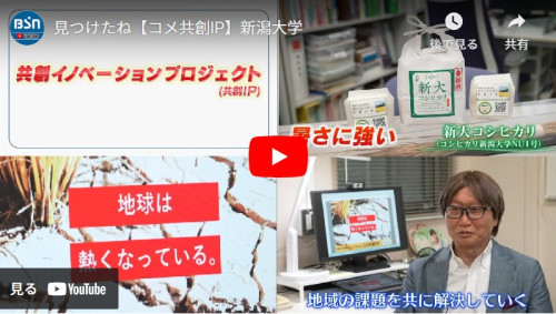 新潟大学「コメ共創イノベーションプロジェクト」が紹介されました。