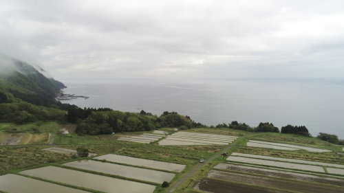 2025/5/10　佐渡市棚田でのドローン直播