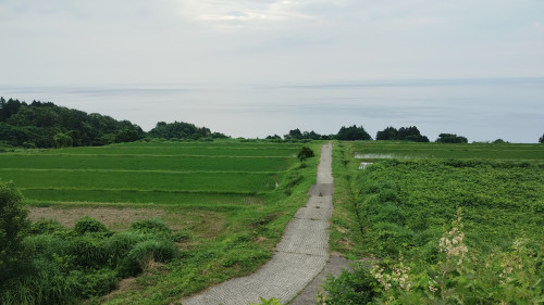 棚田でのドローン直播の状況です。