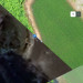 Screenshot_20250705-165238.jpg