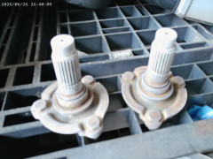 ANMP0287.jpg