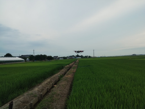 今年最初のドローン防除！新種「なつひめ」の圃場をXAG製ドローンで完全自動飛行してきました【動画あり】