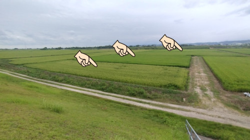 ドローン直播圃場.jpg