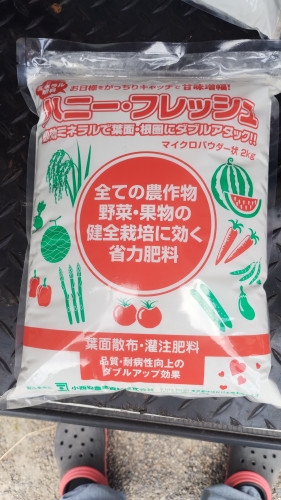 【お知らせ】ドローン直播コシヒカリBLへ「ハニーフレッシュ」を散布！倒伏に負けない米作り