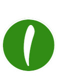 logo (5).png