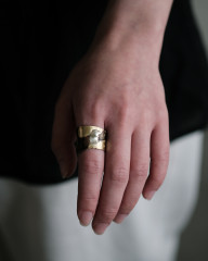 Ring_model_1.JPG