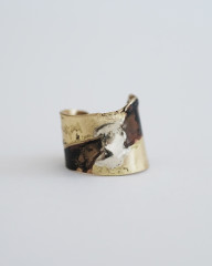 Ring_1.JPG
