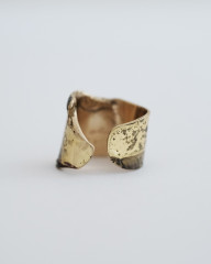 Ring_2.JPG
