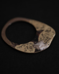 Ring_plate_5.JPG