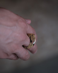 Ring_plate_model_1.JPG