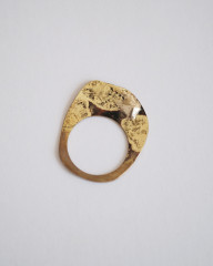 Ring_plate_6.JPG