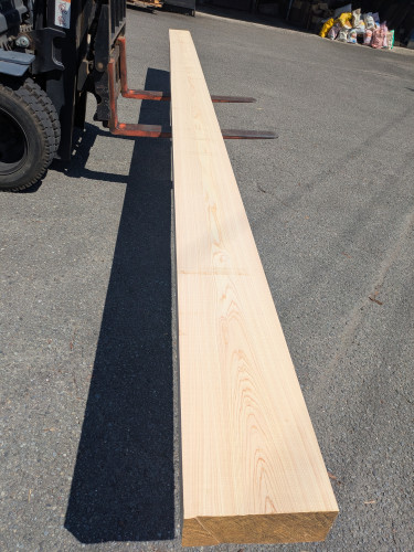 PXL_20260731_011550522.MP.jpg