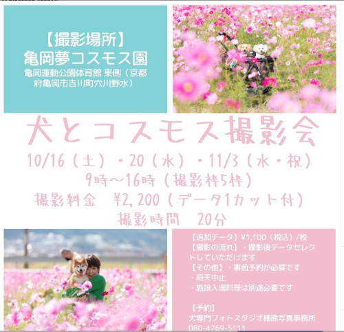 スクリーンショット 2021-09-16 22.15.30.png