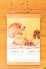 line_oa_chat_220709_140904.jpg