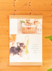 line_oa_chat_220709_144431.jpg