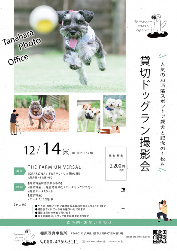 ドッグラン撮影会＠THE FARM UNIVERSAL(茨木市)