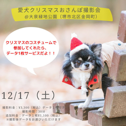 愛犬クリスマスおさんぽ撮影会＠大泉緑地