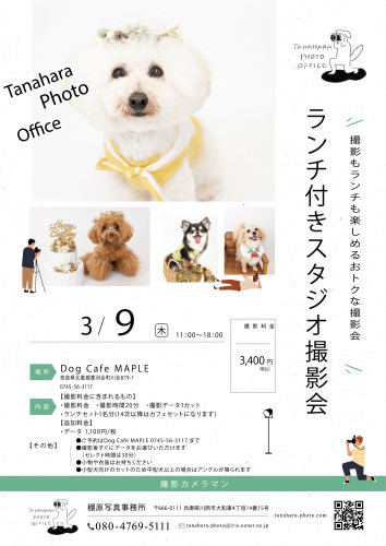 ランチ付きスタジオ撮影会＠Dog Cafe MAPLE(奈良)