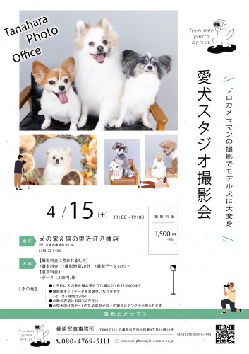 スタジオ撮影会＠犬の家＆猫の里近江八幡店