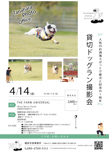 ドッグラン撮影会＠THE FARM UNIVERSAL(茨木市)