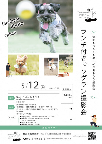 ドッグラン撮影会＠Dog Cafe MAPLE