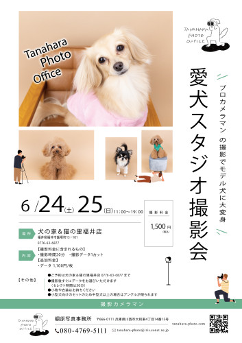 スタジオ撮影会＠犬の家＆猫の里福井店