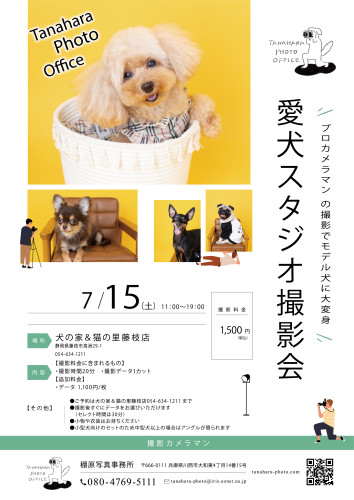 スタジオ撮影会＠犬の家＆猫の里藤枝店(静岡県)
