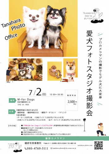 スタジオ撮影会@M-for Dogs(奈良市)