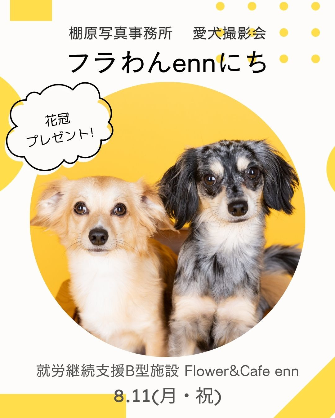フラわんennにち＠松原市