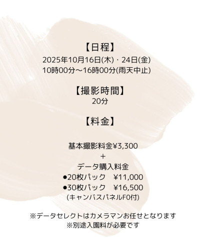 2025コスモス.jpg