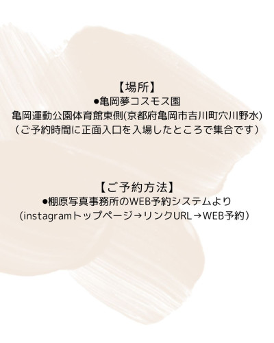 コスモス2025−2.jpg