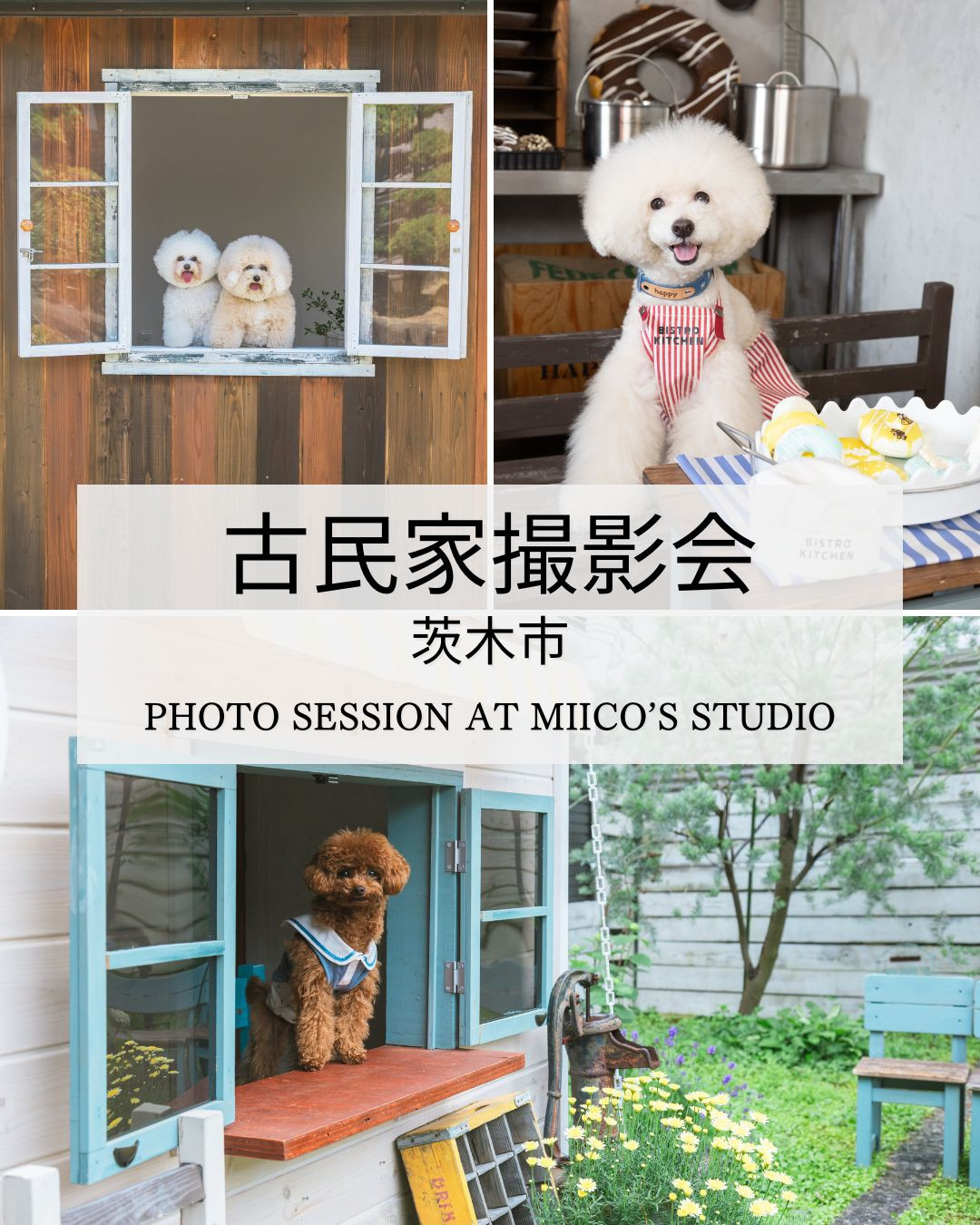 古民家撮影会(茨木市)