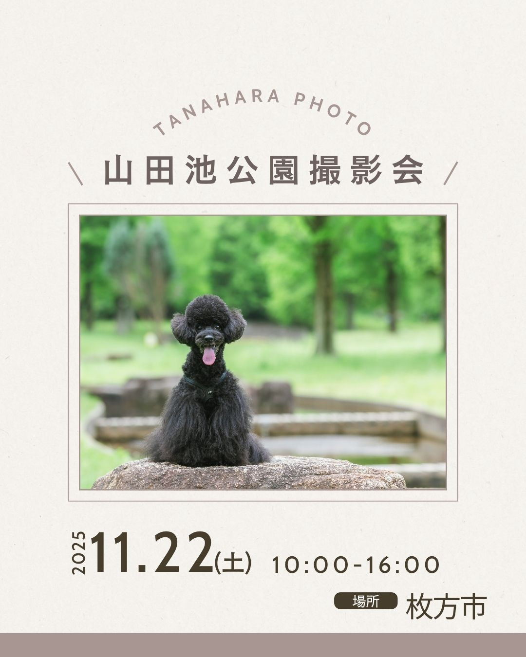 おさんぽ撮影会(山田池公園)