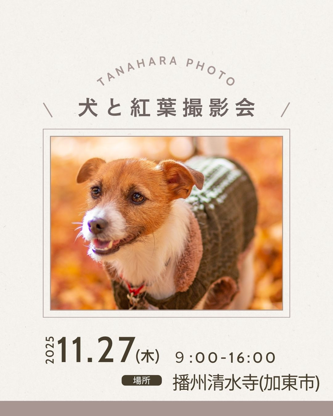 紅葉撮影会＠播州清水寺