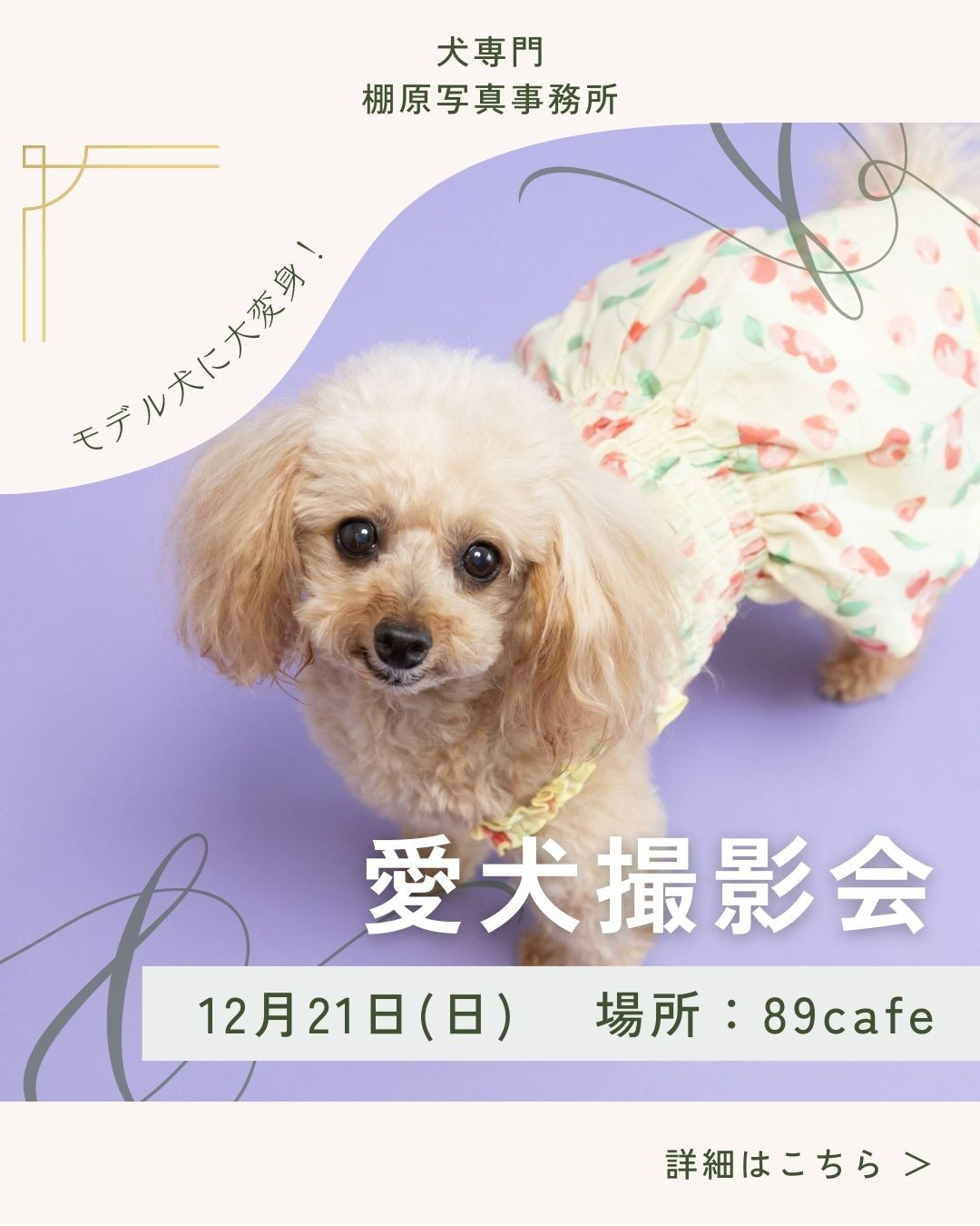 89cafe撮影会