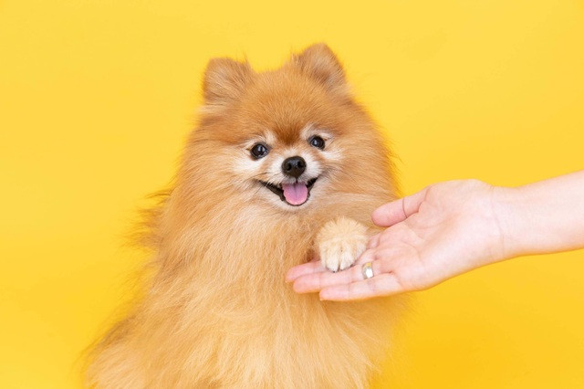 スタジオでの撮影をスムーズに行うための工夫