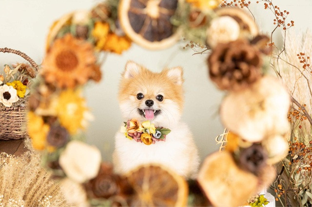 特別な一枚を残すための撮影前の準備と工夫