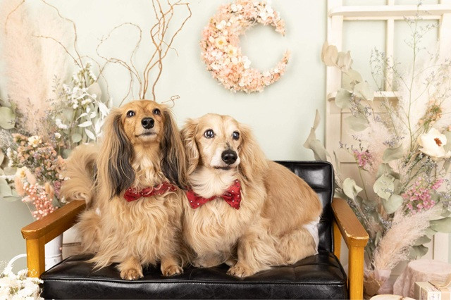 費用の内訳｜確認しておきたいオプションや納品形式