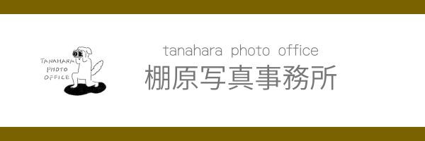 株式会社棚原写真事務所