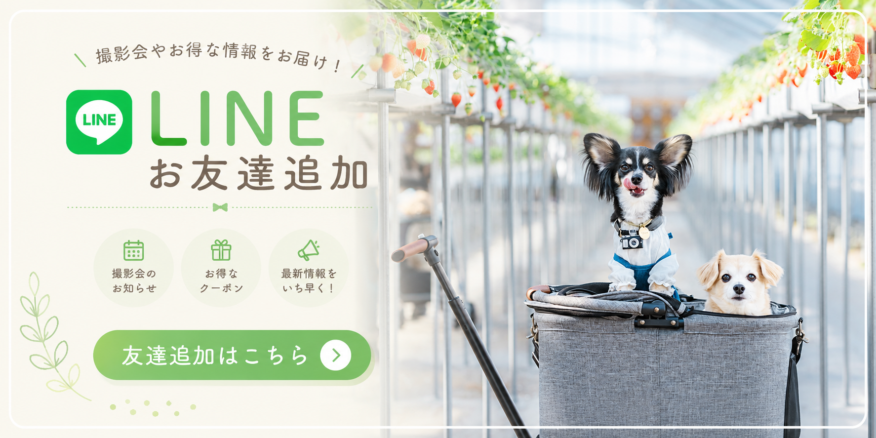 LINE追加